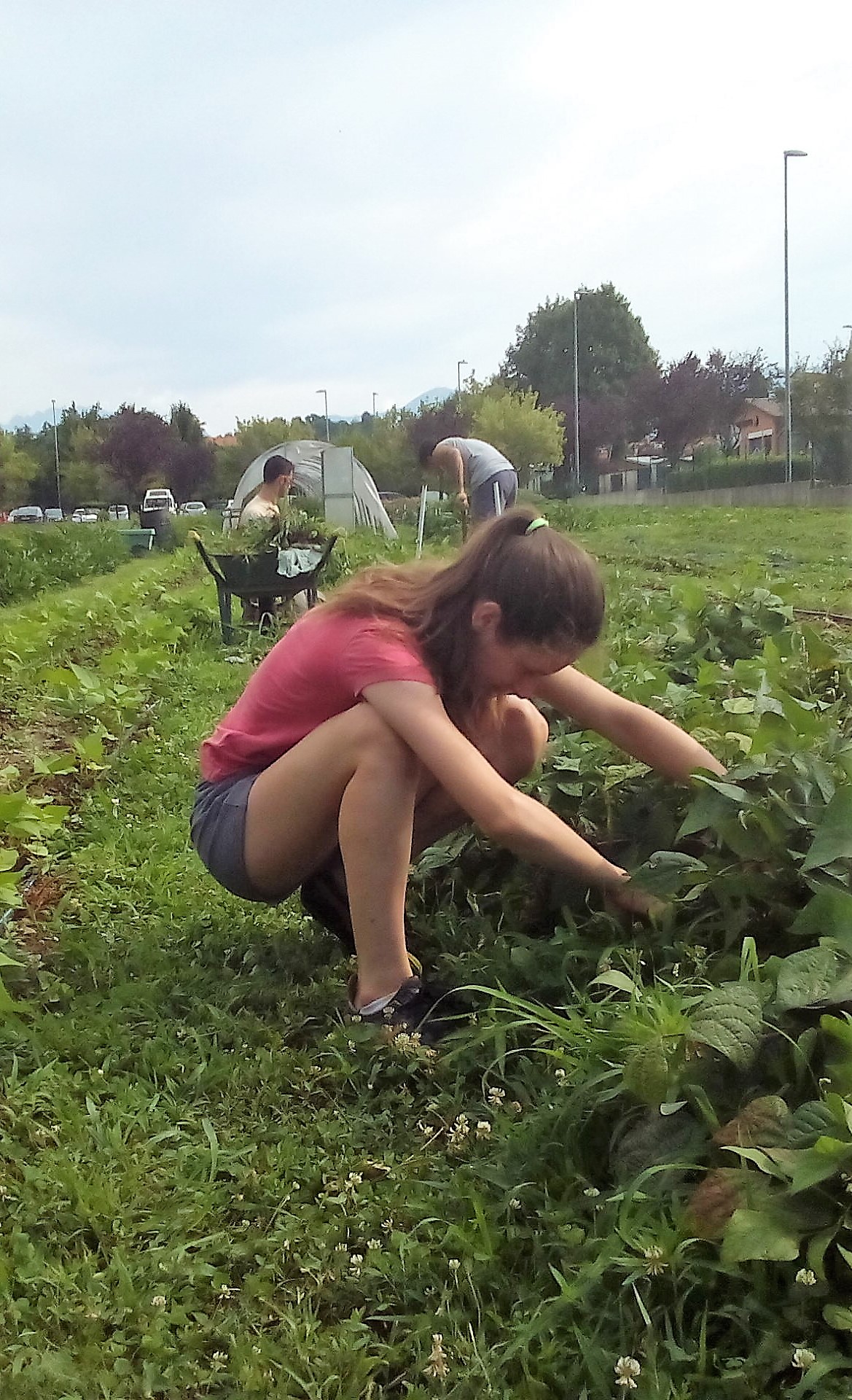 Orti sociali: candidature aperte per 8 giovani amanti dell’agricoltura