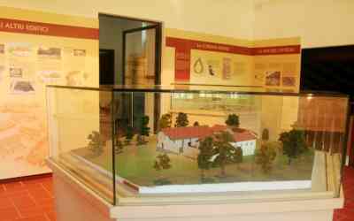 Museo Archeologico del Monte Barro