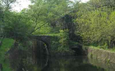 Il silenzio del fiume 