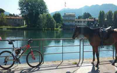 Cavallo & Bici